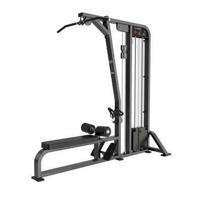 Gym met Lat Pull Down / Low Row