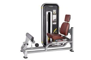 Hoge kwaliteit kalfspers gemaakt in China Gym Machine
